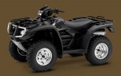 2009 Honda FourTrax Foreman Rubicon photo
